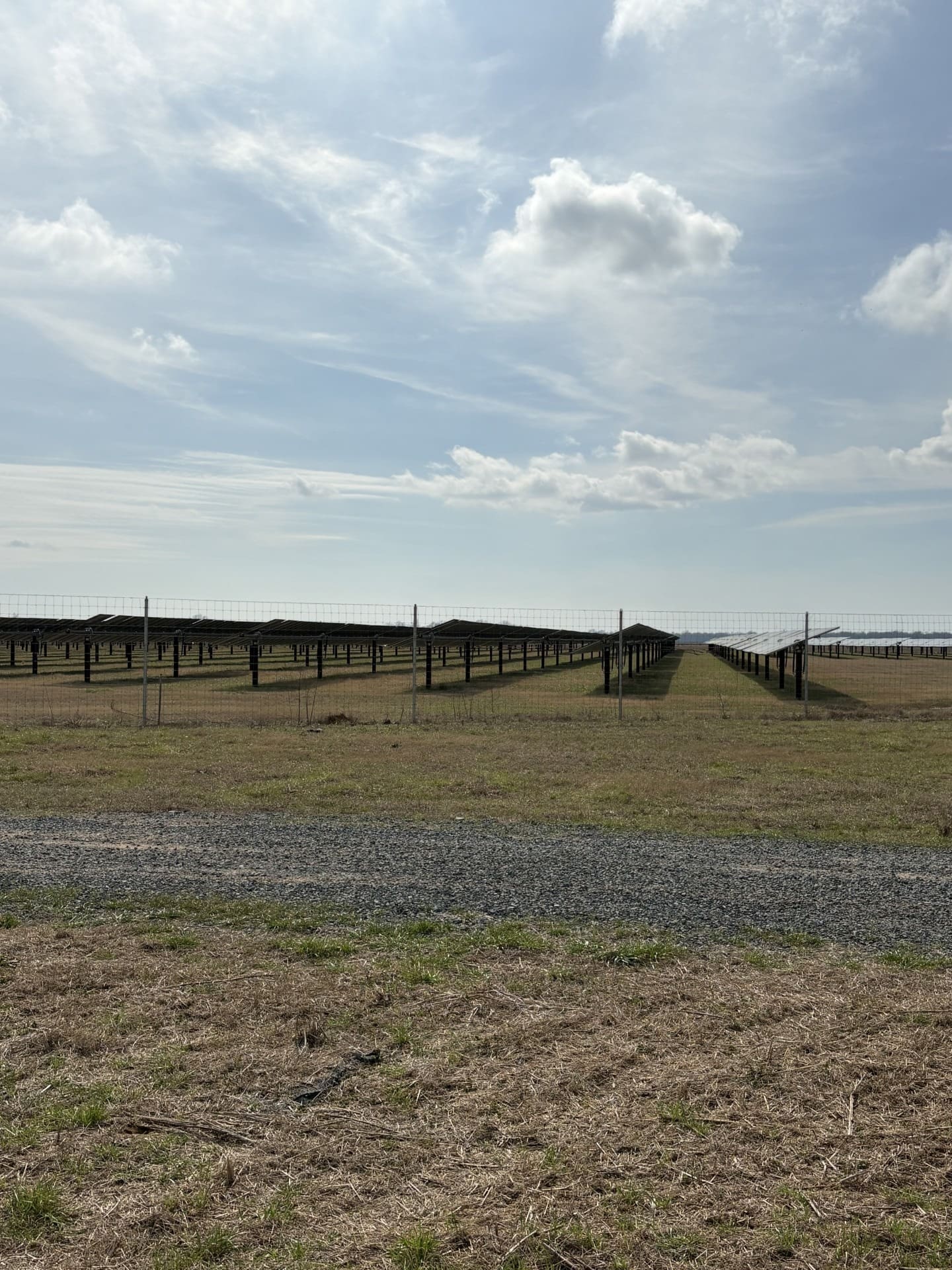 Solar site with vegetation managed in specification.